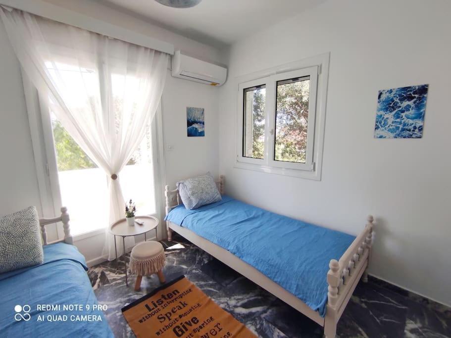 White Villa In Olive Trees And Seaview To Panagia Almiropotamos Exterior photo