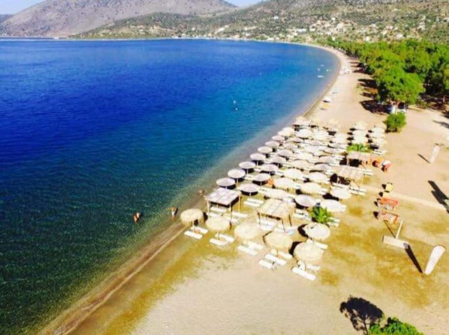 White Villa In Olive Trees And Seaview To Panagia Almiropotamos Exterior photo